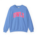 OWLS sweatshirt | Collegiate block letters, pink text