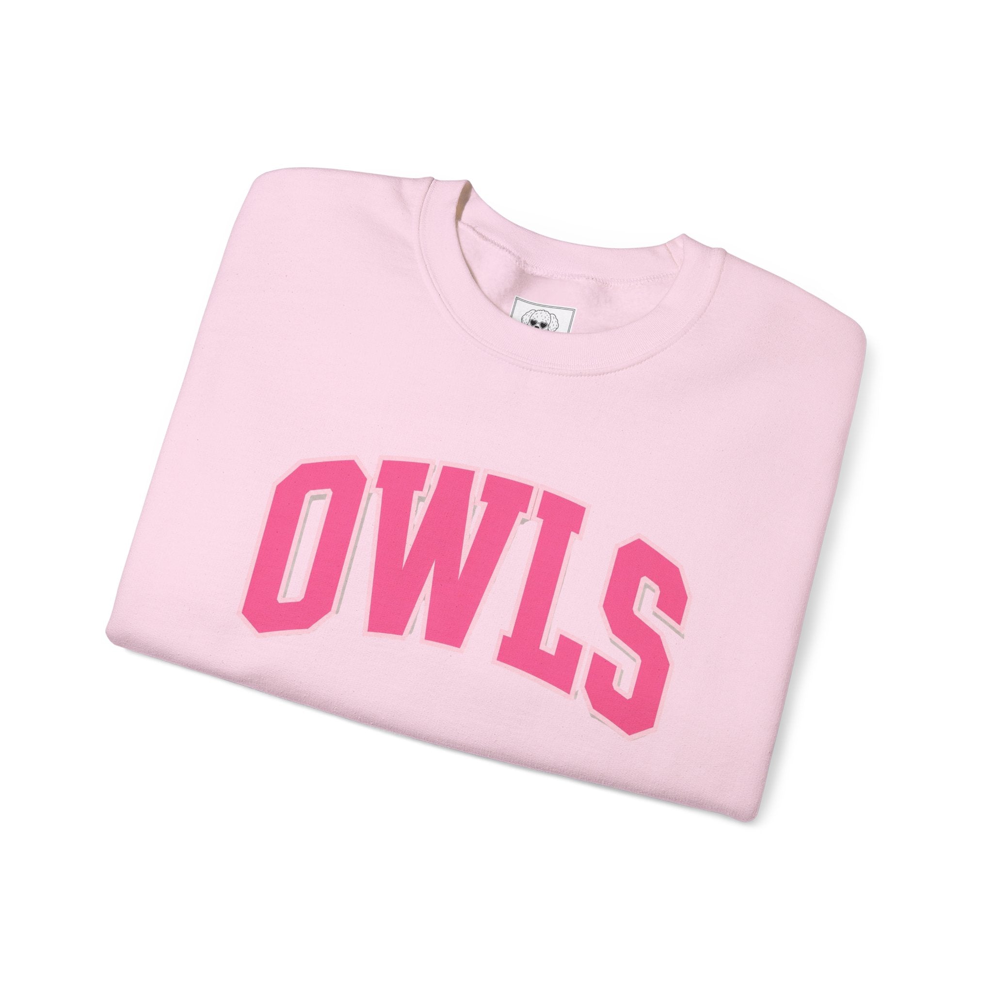 OWLS sweatshirt | Collegiate block letters, pink text